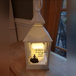 Cinderella lantern